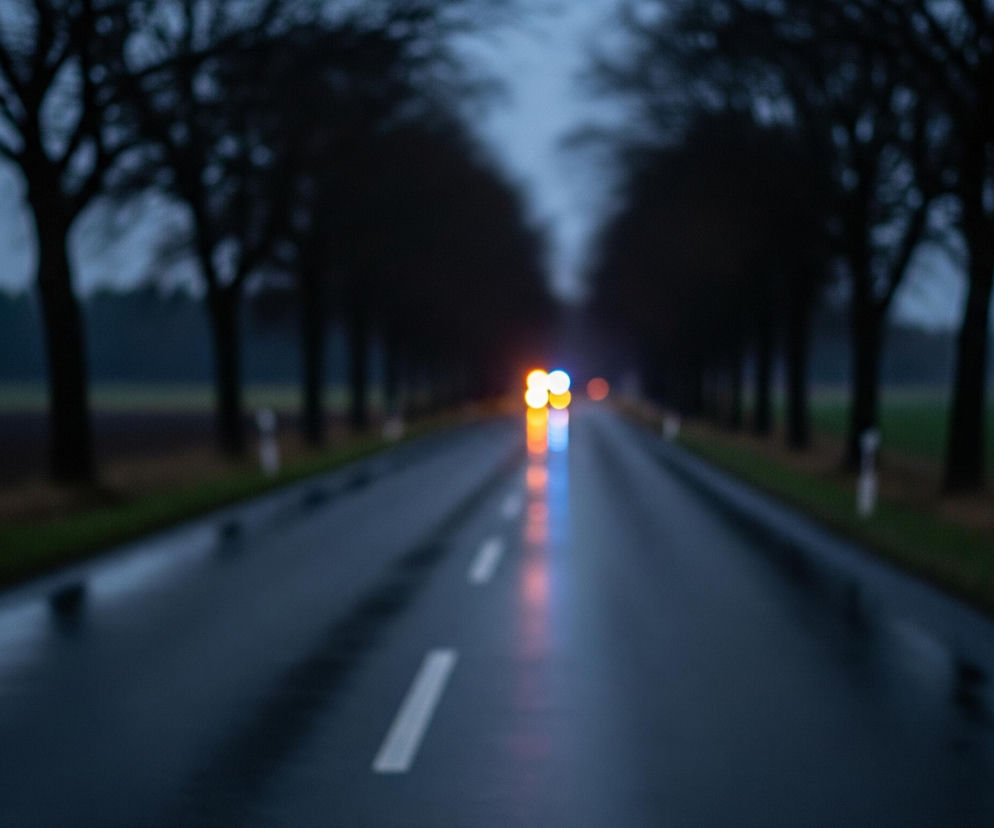 Długa, mokra asfaltowa droga biegnie przez środek kadru, zbiegając się w odległości i tworząc perspektywę. Po obu stronach drogi rosną drzewa z nagimi konarami, tworząc aleję, a tło wypełniają pola i zalesione obszary. Na drodze widoczne są odbicia świateł pojazdów – żółto-pomarańczowe z przodu oraz niebiesko-czerwone, sugerujące światła alarmowe, tworzące długie smugi na mokrej nawierzchni. Po obu stronach drogi, przy krawężnikach, widać białe słupki drogowe, a niebo jest pochmurne i szare, harmonizując z ciemną paletą barw dominującą na zdjęciu.