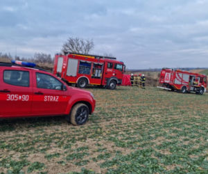 Maszki . Nie żyje 46-latek przygnieciony przez drzewo! Tragedia przy wycince [ZDJĘCIA]