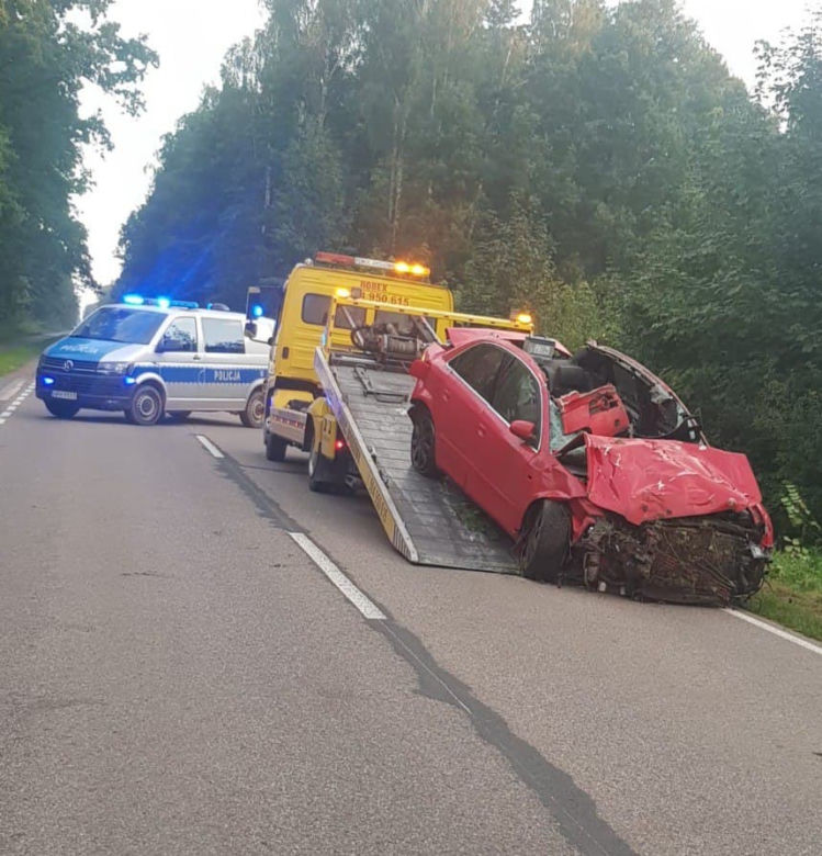 Tragiczny wypadek pod Ciechanowem! 18-latek nie żyje, a 18-latka ciężko ranna po zderzeniu z łosiem