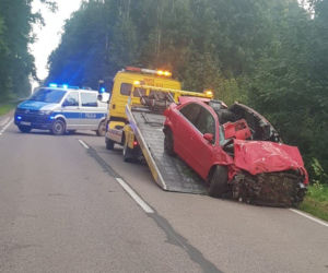Tragiczny wypadek pod Ciechanowem! 18-latek nie żyje, a 18-latka ciężko ranna po zderzeniu z łosiem