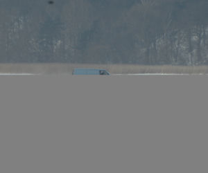 Z małymi dziećmi jeżdżą po zamarzniętym Zalewie Szczecińskim