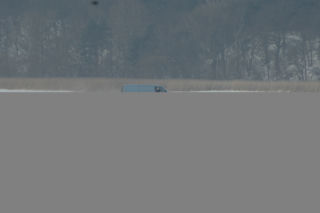 Z małymi dziećmi jeżdżą po zamarzniętym Zalewie Szczecińskim