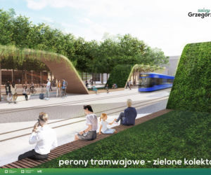 Zielona rewolucja na ul. Grzegórzeckiej