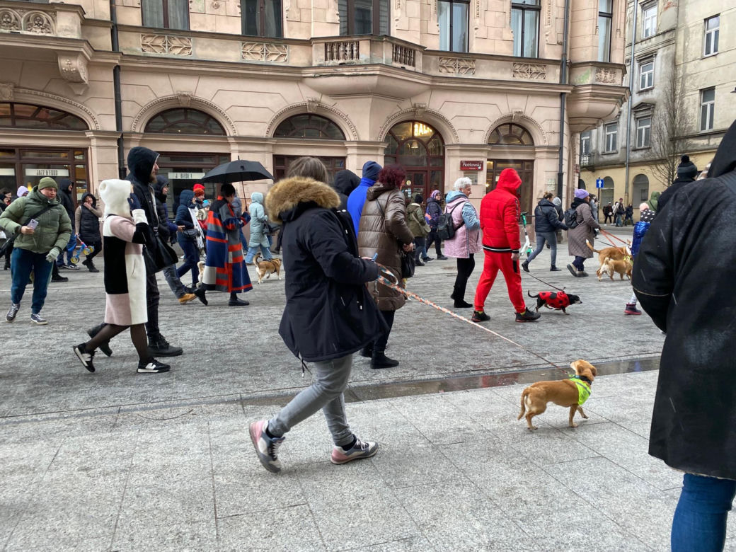 Parada Kundelków