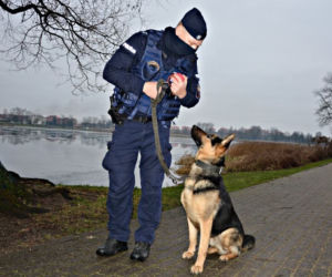 Szarik - nowy policyjny pies w Komendzie Miejskiej Policji w Suwałkach [ZDJĘCIA]