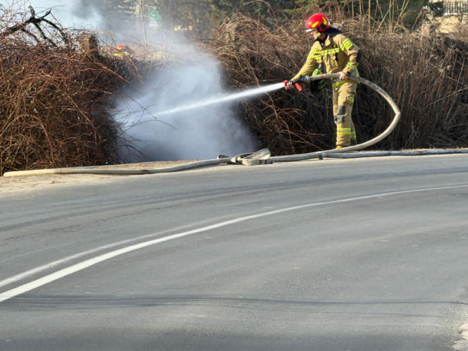 Mazowsze płonie, zaczęło się wypalanie traw