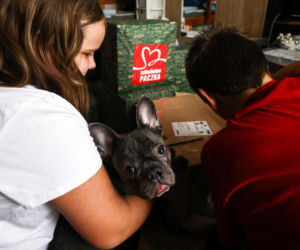 Szlachetna Paczka w Świętokrzyskiem pilnie potrzebuje darczyńców. Ponad 50 rodzin czeka na pomoc przed Weekendem Cudów