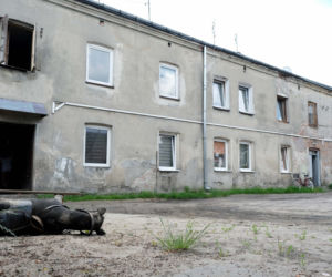 NIE ŻYJE kobieta postrzelona przez policjantów