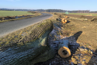 Tylko jedna oferta na drogę Lipno–Goniembice. Strabag chce 24 miliony złotych