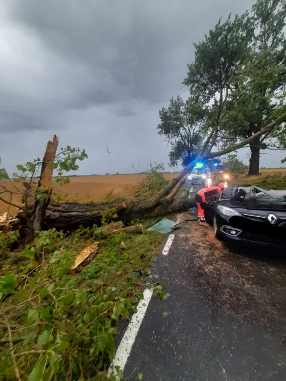 Drzewo runęło na auto z rodziną pod Świeciem! 47-latek nie miał szans tego przeżyć [ZDJĘCIA]