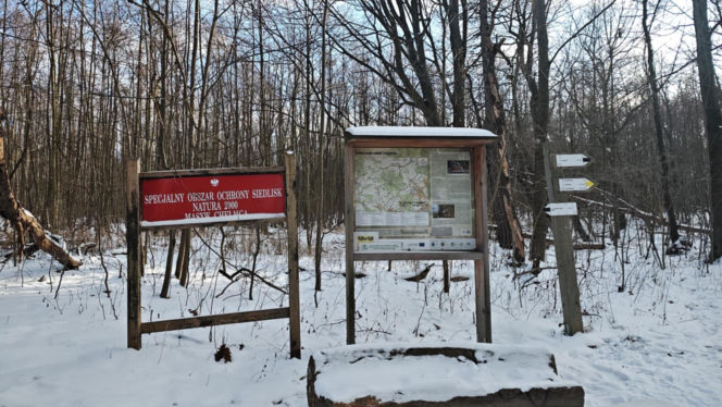 Zimowa wyprawa na Trójgarb