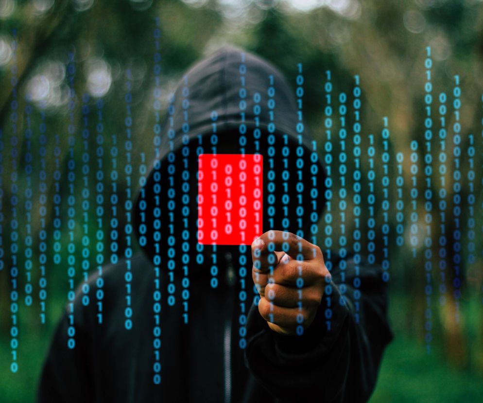 Cyberprzestępca