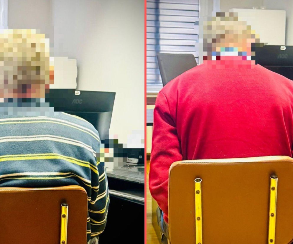 Zakatowali psa siekierą i kantówką. Szokujące okrucieństwo w gminie Borów na Dolnym Śląsku