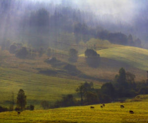 Bieszczady