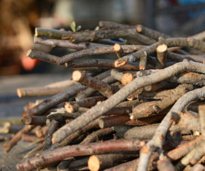 Ceny gałęziówki 2025. Ile za tani opał z lasu? Sprawdź, ile zapłacisz