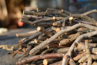 Ceny gałęziówki 2026. Ile za tani opał z lasu?