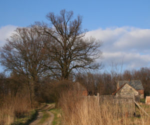 Najtrudniejsza wieś do życia w Śląskiem. Denifiuje ją cisza, brak usług i opuszczone domy