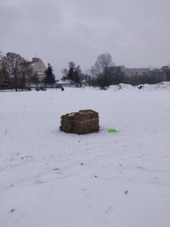 Urzędnicy obłożyli śmietnik słomą