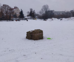 Urzędnicy obłożyli śmietnik słomą