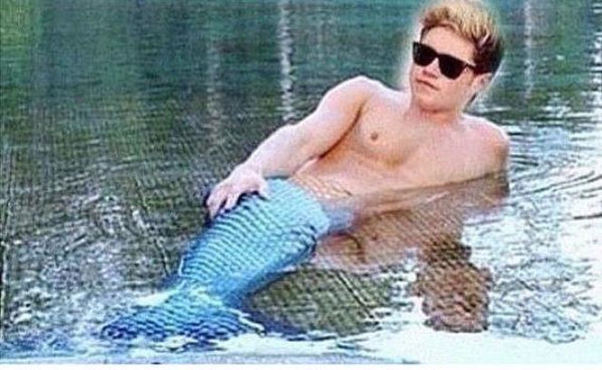 Niall Horan