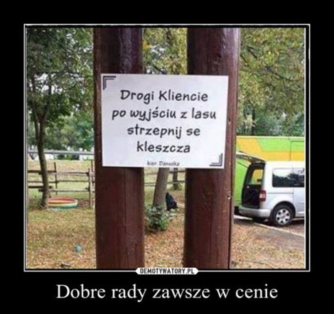 Święto dobrych rad 2017: MEMY