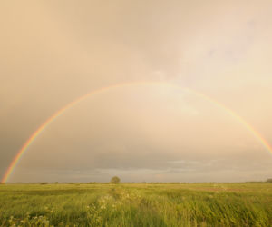 Magiczne Podlasie