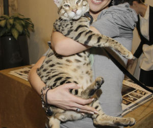 Andżelika Piechowiak