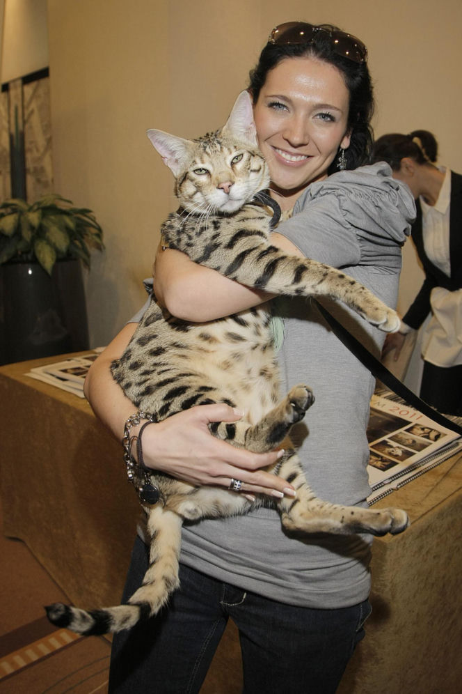 Andżelika Piechowiak