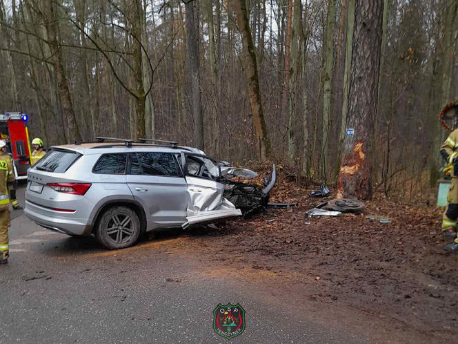 Skoda z dwiema osobami w środku uderzyła w drzewo. 4-letnie dziecko trafiło do szpitala