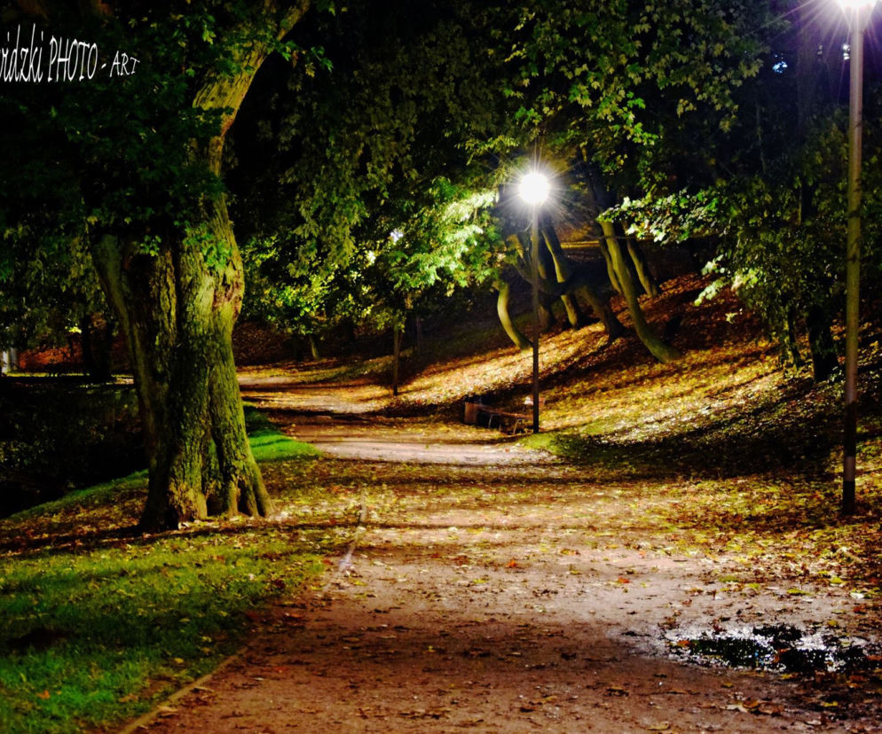 Park Kasprowicza