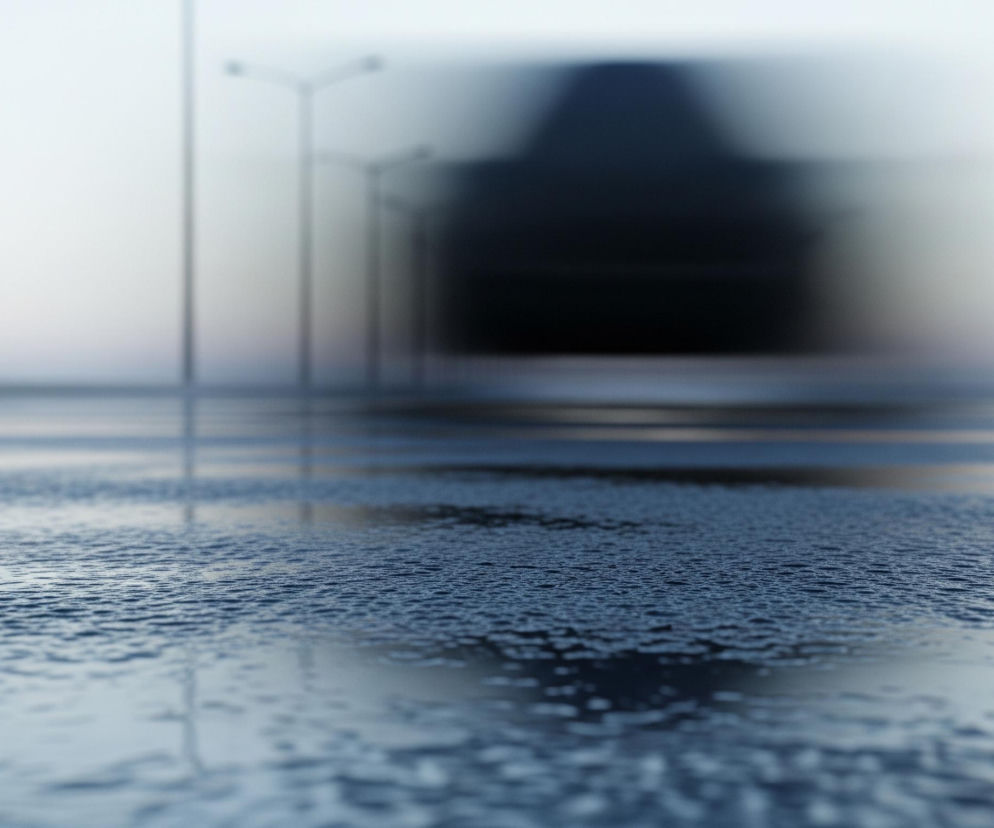 Przód obrazu zajmuje pokryta wodą, falująca powierzchnia asfaltu, odbijająca jasne światło, nadając jej szaroniebieski odcień. W tle widać zamglony, ciemny kształt przypominający samochód, który jest mocno rozmyty. Po lewej stronie i w środkowej części obrazu, na horyzoncie, z wody wystają pionowe słupy latarni ulicznych, również lekko rozmazane, a za nimi rozciąga się jasne, rozmyte, niemal białe niebo.