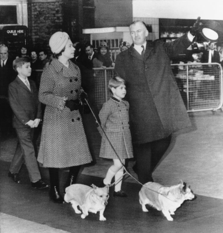 Ukochane corgi królowej były przy niej do końca. "Czuwały przy łożu śmierci"