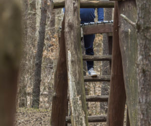 Wójcik zrzuca kilogramy po świętach