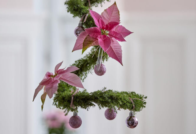 Gwiazda betlejemska – świąteczna zawieszka DIY