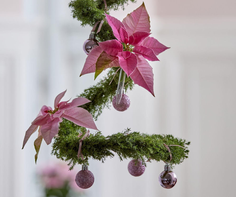 Gwiazda betlejemska – świąteczna zawieszka DIY