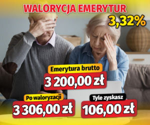 Fiszki waloryzacyjne