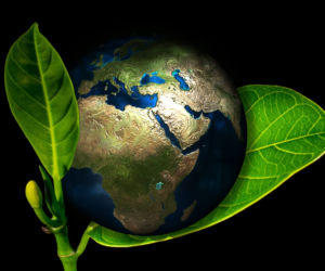 Dzień Ziemi 2026 w Polsce. Nasza moc, nasza planeta w lokalnych akcjach