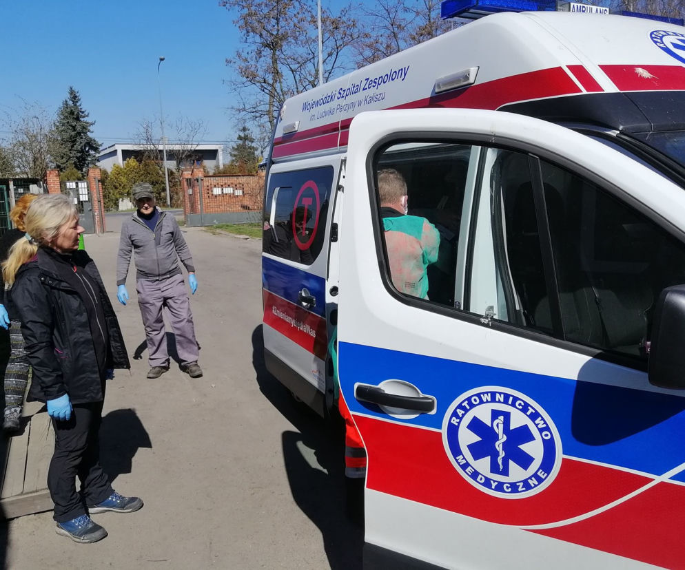 Kaliskie schronisko dla zwierząt wspiera medyków w walce z koronawirusem! [ZDJĘCIA] 