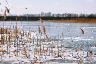 Alert hydrologiczny dla woj. lubelskiego. IMGW ostrzega przed wezbraniem wód w rzekach regionu