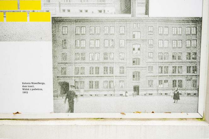 To najstarsze osiedle w Warszawie. Aby żyć jak w bajce panowały tu dziwne zasady