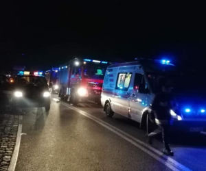 Czołowe zderzenie pod Głowaczowem. Dwie osoby w szpitalu