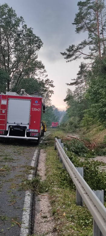 Niszczycielka nawałnica pod Świeciem! Przerażające zdjęcia