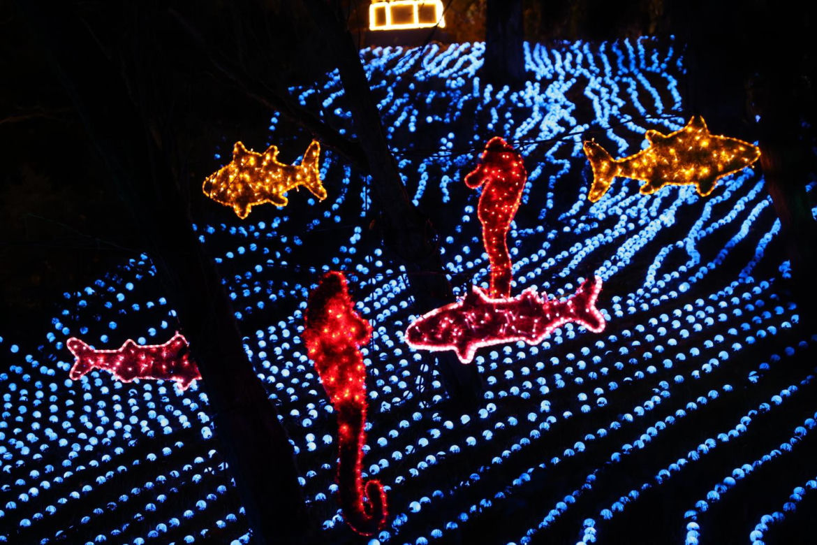Park iluminacji 2023 w Lublinie