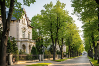 Nie Gdańsk, Gdynia i Sopot. Drugie Trójmiasto w Polsce istnieje naprawdę. Gdzie ukrył się ten niezwykły skarb?