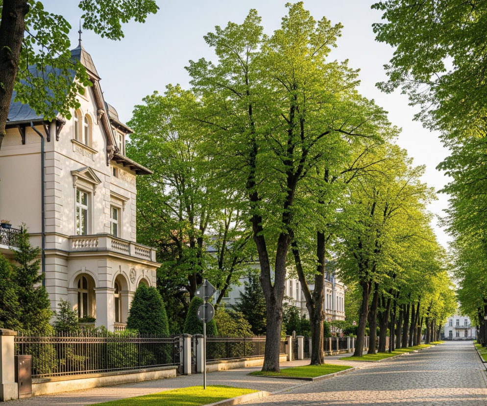 Długa ulica wybrukowana szarymi kostkami rozciąga się w głąb obrazu, otoczona po obu stronach rzędem wysokich drzew o bujnym, jasnozielonym listowiu. Po lewej stronie ulicy widać eleganckie, jasne budynki z ciemnymi dachami i ozdobnymi elewacjami, przed którymi ciągną się kute, ciemne ogrodzenia. Pomiędzy ulicą a chodnikami, a także wokół pni drzew, rośnie soczyście zielona trawa, częściowo oświetlona ciepłym, złotym światłem słonecznym padającym z prawej strony. W oddali, na końcu ulicy, widać inne, podobne budynki, a nad całością rozciąga się jasne, niemal białe niebo.
