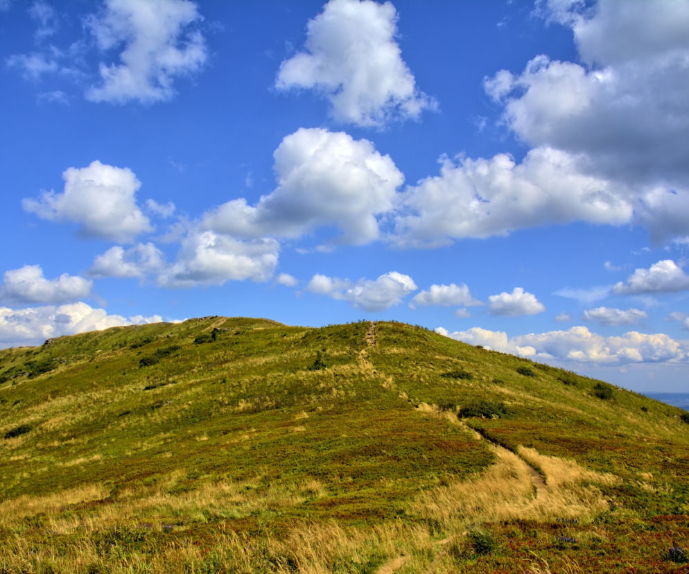 Pogoda na 21.08.-22.08: Bieszczady. Weekend zapowiada się deszczowo 