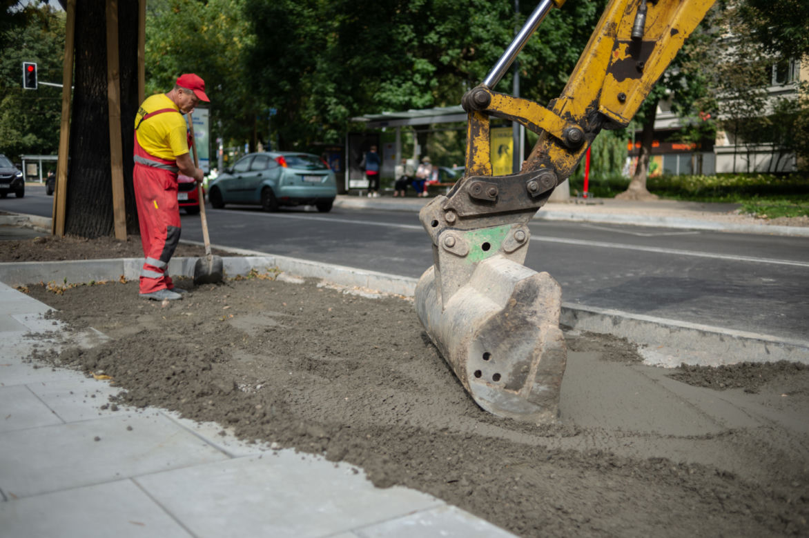 Więcej zieleni w Warszawie