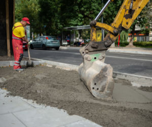 Więcej zieleni w Warszawie