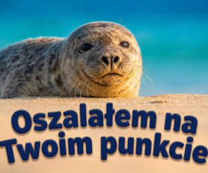 Kartki walentynkowe. Bądź moją Walentynką i kochaj mnie