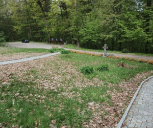 Żwirkowisko – miejsce śmierci najsłynniejszych polskich lotników. Musi je zobaczyć każdy pasjonat lotnictwa!